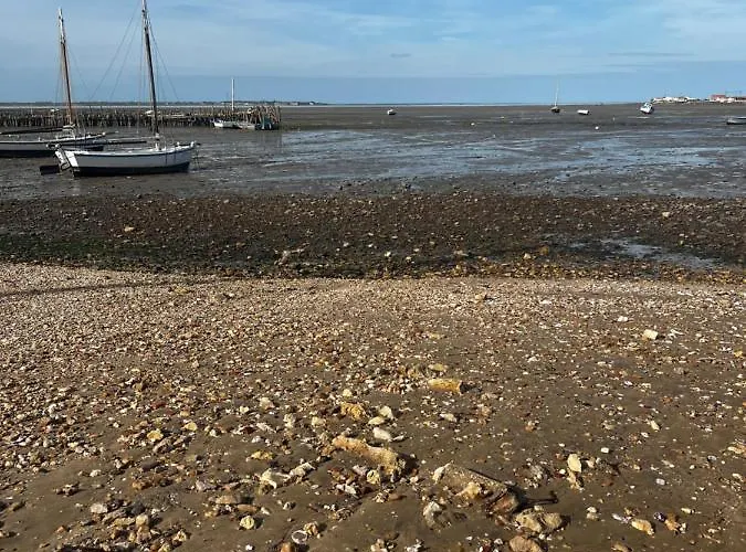 L'étoile De Appartement Bourcefranc